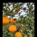 진정농장 이미지