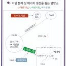 연세위더스여성의원
