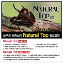 포항곤충농장 이미지