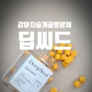 강아지슬개골영양제 딥씨드 우리집 강아지 섭취 후기