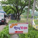 영희네밥집 네이버블로그