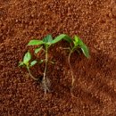 금정농장 이미지