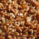 세현농장 이미지