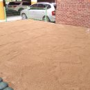 장산초등학교 병설유치원 이미지