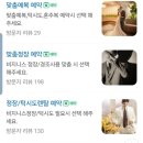 에리스 | 수원맞춤정장, 예복대여 추천 디에리스 솔직후기