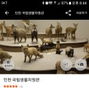 환경로 이미지
