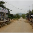 새한조경 이미지