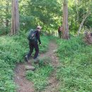 신상로동부로 Daum카페