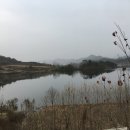 용담저수지 앞 도로 이미지