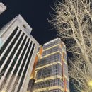 다인스크린골프 | 부산 가족여행 호텔 추천 HOTEL HLB 듀플렉스 패밀리 레지던스 연말 호캉스 후기