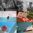 티저 이미지 카카오 검색결과