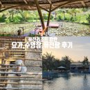 퓨전리조트 깜란 솔직후기-수영장, 요가, 퓨전팜까지