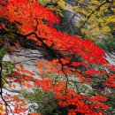 십이선여탕 이미지