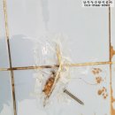 모동면상수도 네이버블로그