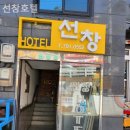 울릉도선창호텔 네이버블로그