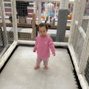 경기도 수원시 영통구 덕영대로 | 수원 영통 키즈카페 아이와 함께 가볼만한 곳 챔피언1250 판타지움 영통점 후기