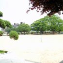 남사초등학교 이미지