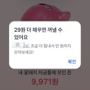 토스 꽃돼지 저금통 만원 받기 공유횟수 앱테크 이벤트 기간