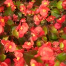 나라회관 이미지