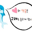 타로에 길을 묻다 이미지