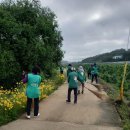 양강면사무소 이미지