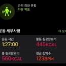 피티데이 이미지