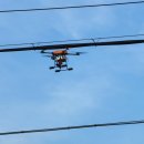 장미할인마트 이미지