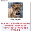 에스트에스트에스트 이미지