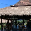 백마사 | [Ubud] 발리 우붓여행, 여자 혼자 푸트리우붓스파3 재방문 후기｜분위기 맛집 Tamian Cafe