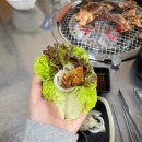 강릉갈비맛집 포남신숯불구이 매콤한 고기집 추천