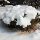 우장산근린공원 이미지