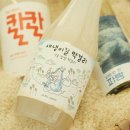 지역과청년 이미지