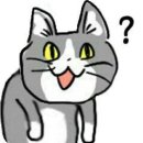꾸밀 이미지