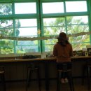 사계절계곡수체험장 이미지