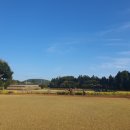 유찬목장 이미지