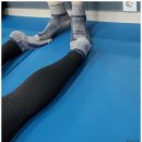 사바비안양주