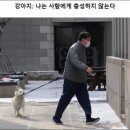 윤석열이 개를 산책시키는 사진 이미지