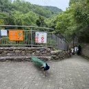 천관가든 | 과천 서울대공원 하루 코스: 테마가든(장미원)·국립현대미술관·동물원, 주차·코끼리열차·리프트 총정리