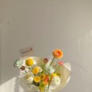 마음을 담다 이미지