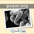 남창미르동물병원 이미지