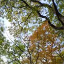 잠이솔솔 이미지