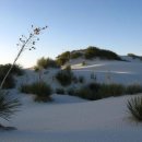 뉴멕시코의 '하얀 모래 포슬린 사막'- 이미지