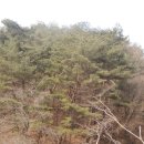 내촌면복지회관 이미지