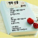 이엑스아이디 카카오 검색결과