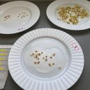 과학 실험 교실 이미지