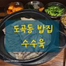 도곡1-110 | 도곡동 맛집 돼지국밥 추천<돼지고기국 효> 🥢 양재천 근처 숨은 도곡 국밥집 발견