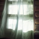 The Secret Garden 이미지