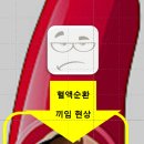 진동애견