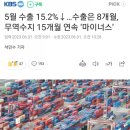 영업사원 1호 성적표 : 5월 수출 15.2% ↓.. 수출 8개월, 무역수지 15개월 연속 적자 이미지