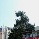 너른바위 이미지